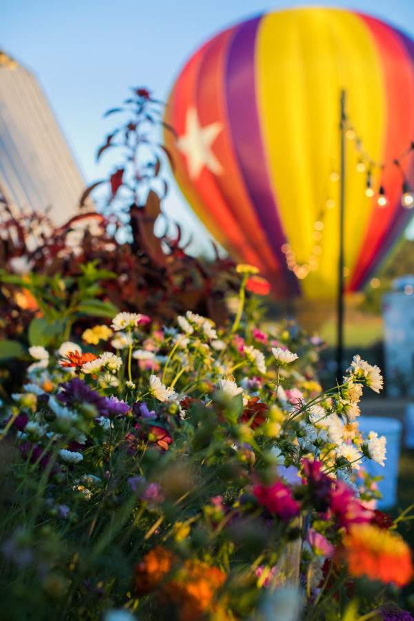 flowers, hope flower farm, hot air balloon, party lights, pamela barefoot events