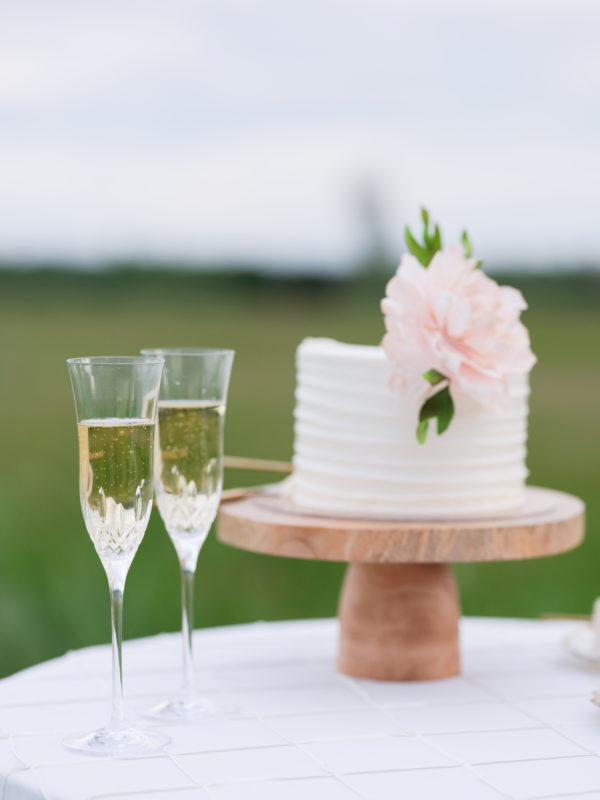 Virginia wedding venue, Elopement, 2020 wedding, intimate wedding, micro wedding, DC wedding planner, Buttercream Bakeshop, tiny wedding cake